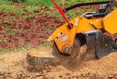 Stump Grinding and Site Prep